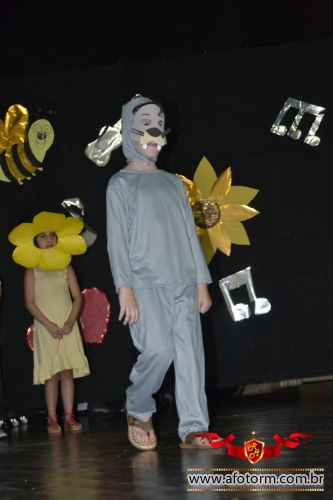 rolim de moura